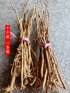 福建野生千斤拔 一条根 钻地风 500克干货包邮