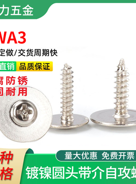 螺丝大头自攻螺钉尖尾硬十字镀锌镍艾盒带垫片大帽介子PWA3*10*10