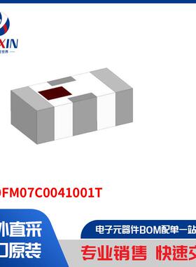 2450FM07C0041001T 滤波器 RF 滤波器