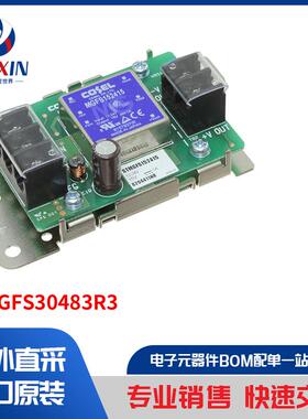 STMGFS30483R3 电源 - 外部/内部（板外） 直流转换器