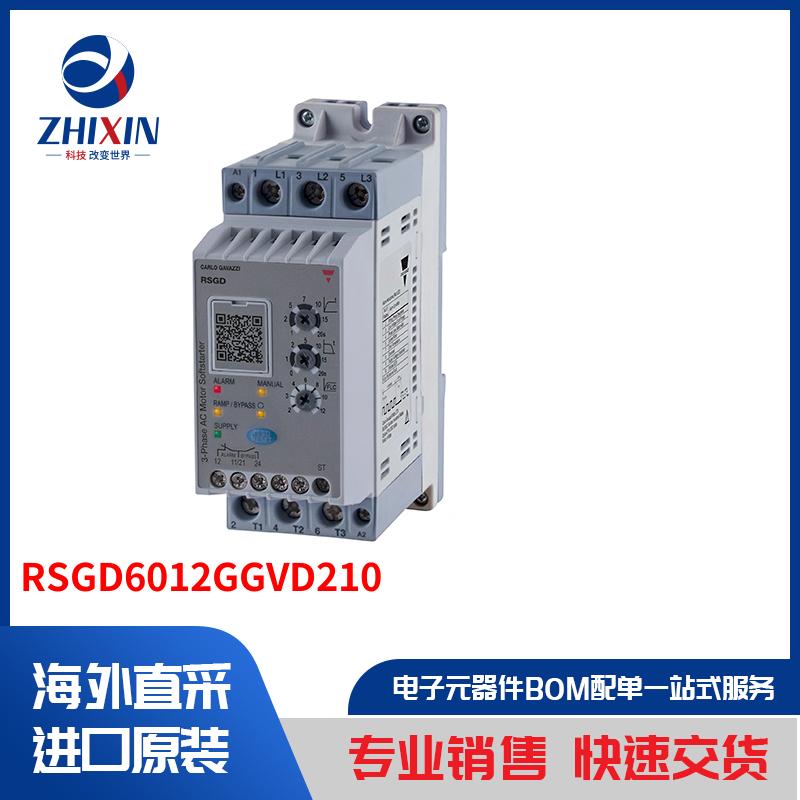 RSGD6012GGVD210 马达、螺线管、驱动板／模组