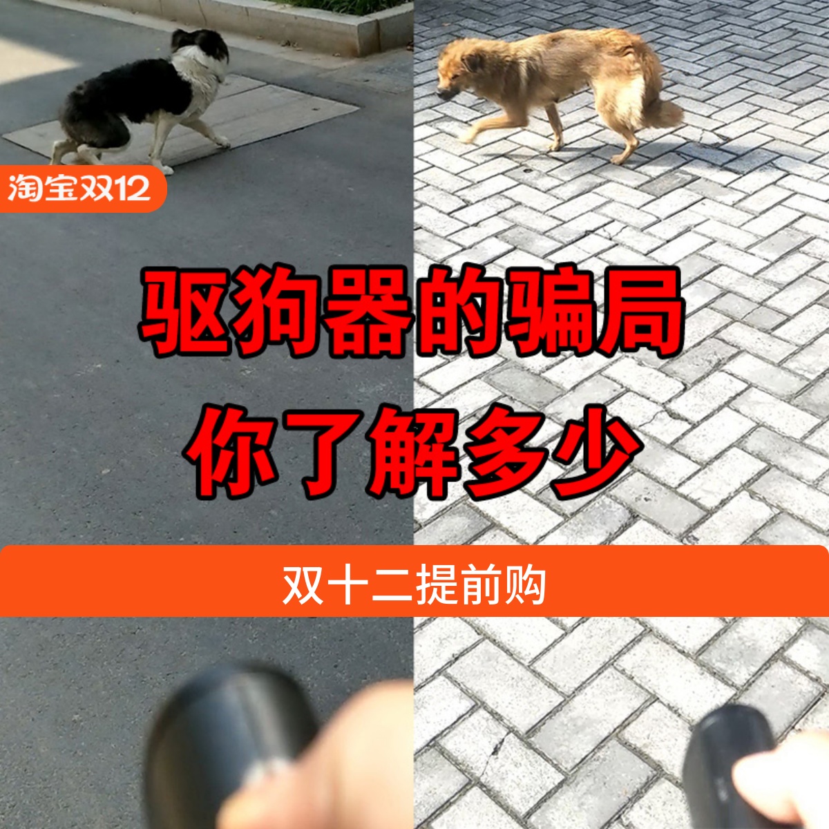 便携式超声波驱狗器防追训猫专利