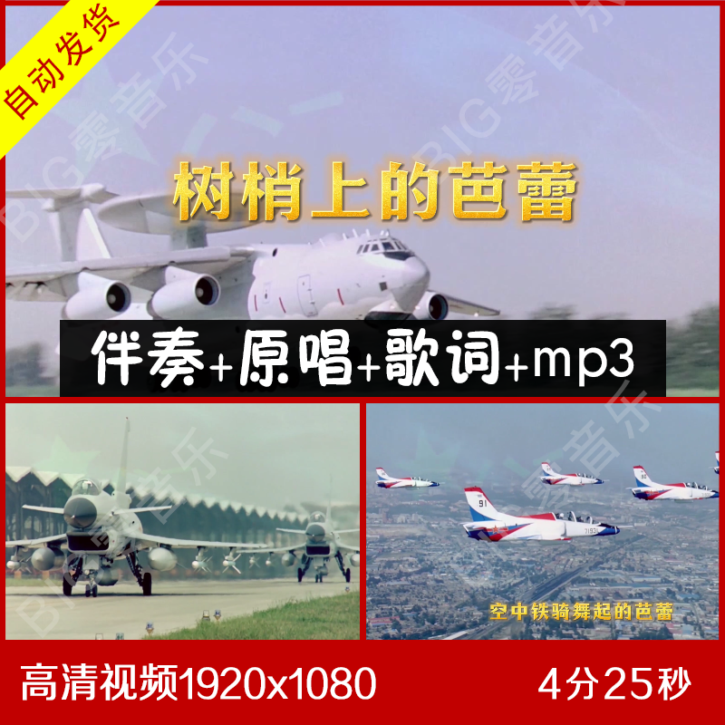 叶翠-树梢上的芭蕾 伴奏原唱视频背景 带歌词
