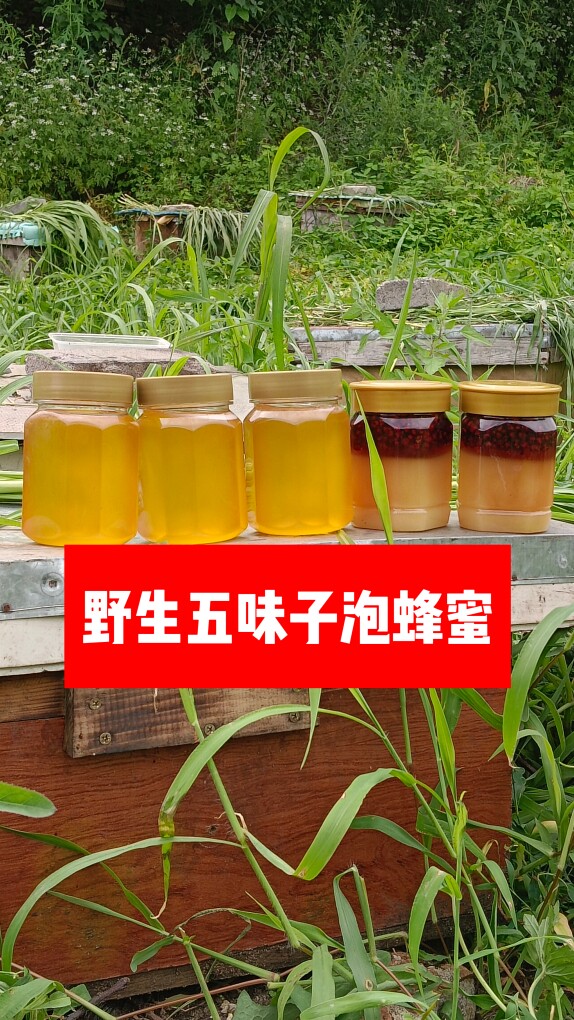 东北野生五味子泡蜂蜜对失眠有帮助取自长白山深山里的农家土蜂蜜