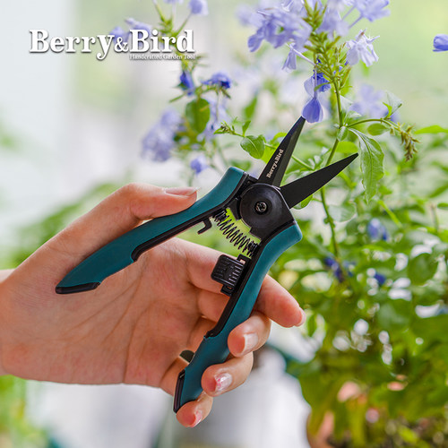 BerryBird迷你修枝剪小巧省力