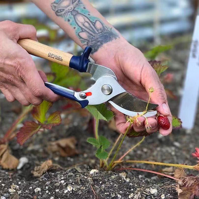 花小白法国原装进口opinel修枝剪