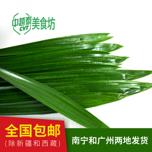 全国包邮 泰国品种新鲜斑斓叶 西米糕香兰叶班兰叶戚风蛋糕千层糕