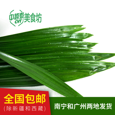 包邮泰国品种新鲜斑斓米糕香兰