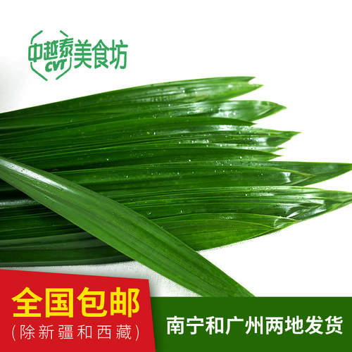 包邮泰国品种新鲜斑斓米糕香兰