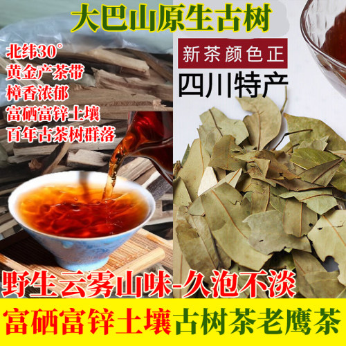 大巴山老鹰树野生云雾红茶新茶