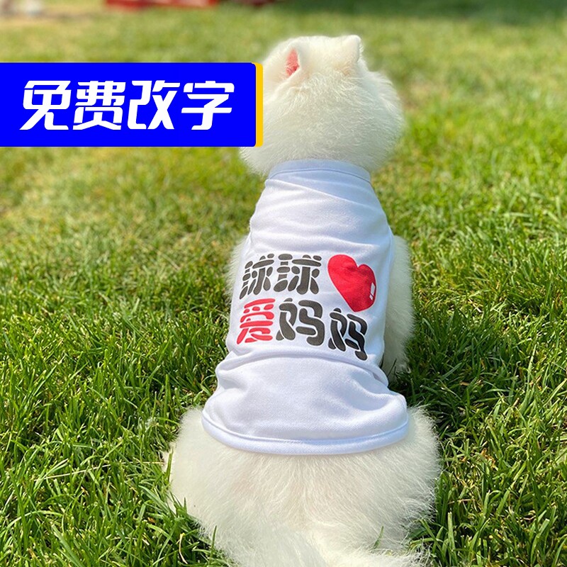 佩它 文创可改字衣服泰迪狗狗博美宠物T恤小型犬搞笑夏薄文字背心