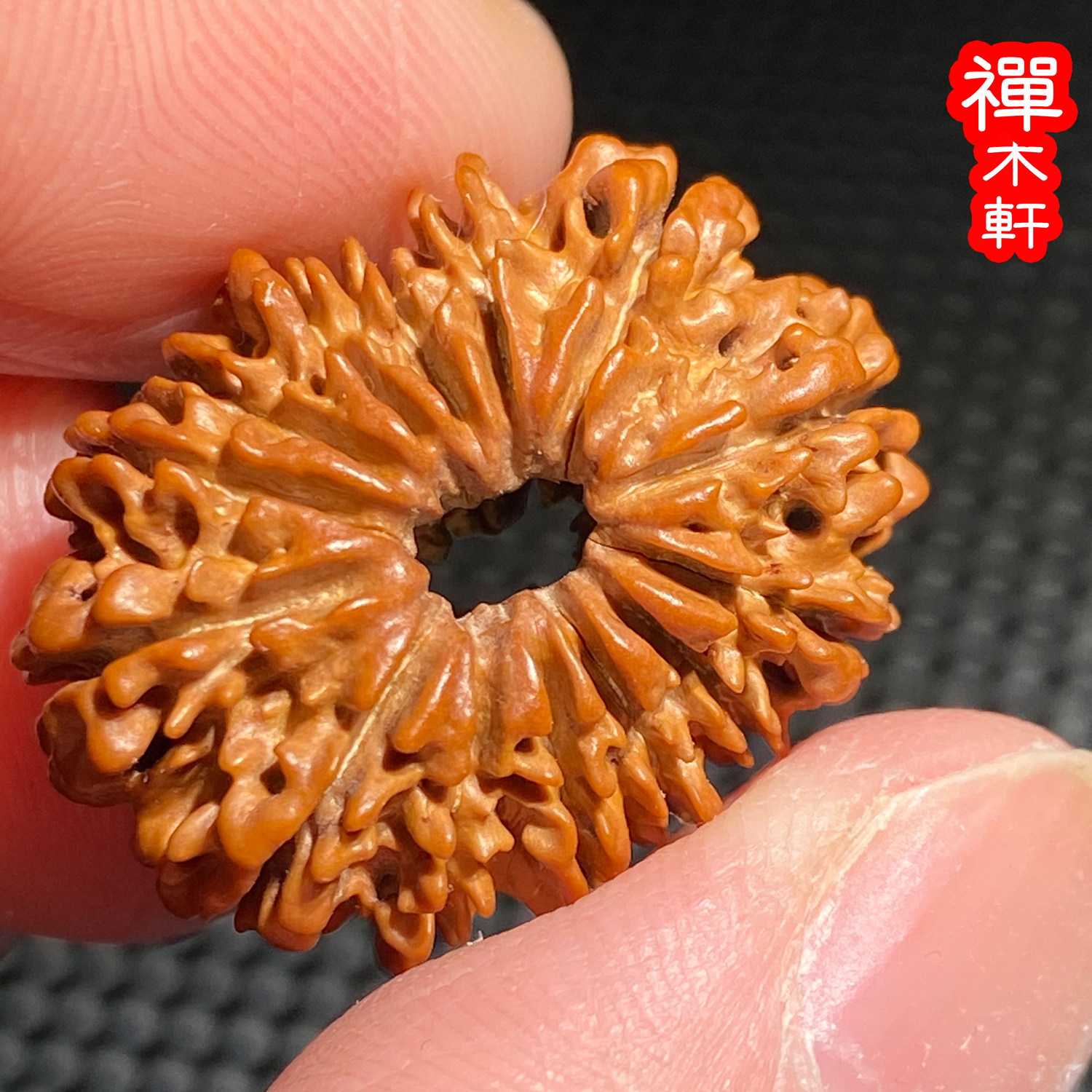 正宗尼泊尔14瓣十四瓣大金刚菩提子手串多瓣念珠单颗精品文玩男