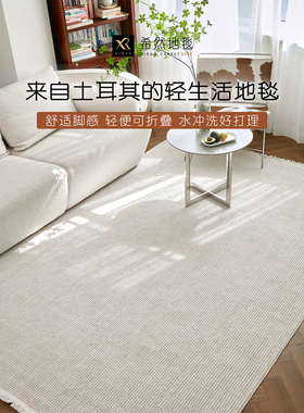 希然土耳其进口地毯纯色现代轻奢奶油风可水洗客厅卧室床边毯特价