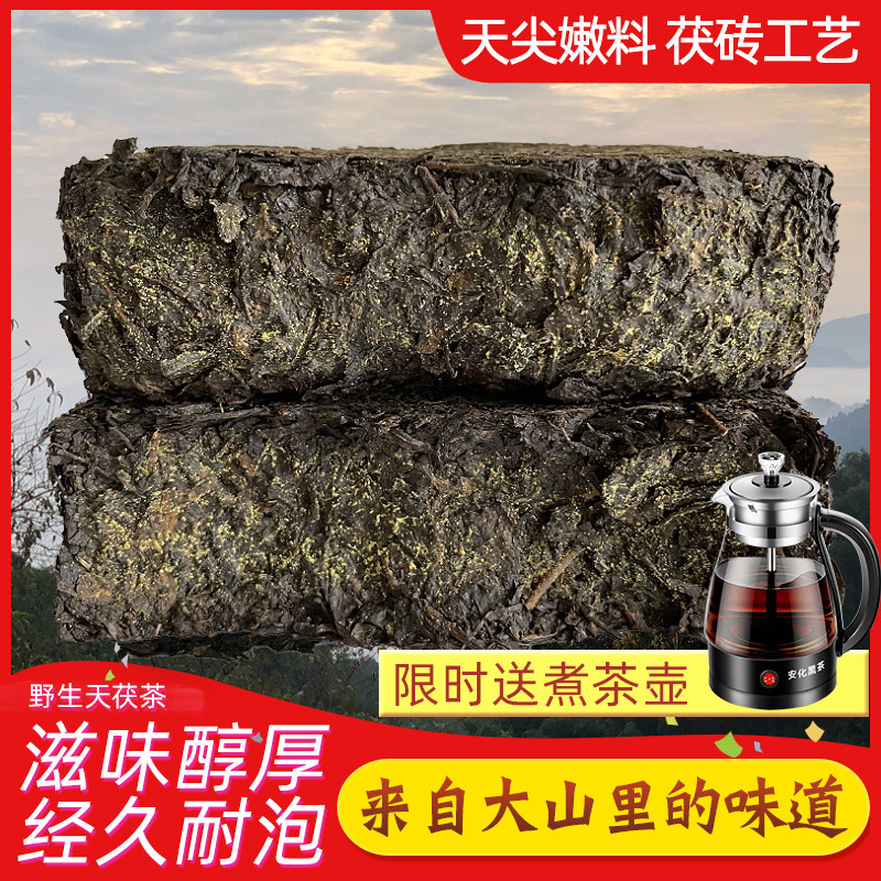 黑茶湖南安化安华荒山原叶伏茶6年手筑高山野生天茯金花茯砖茶叶