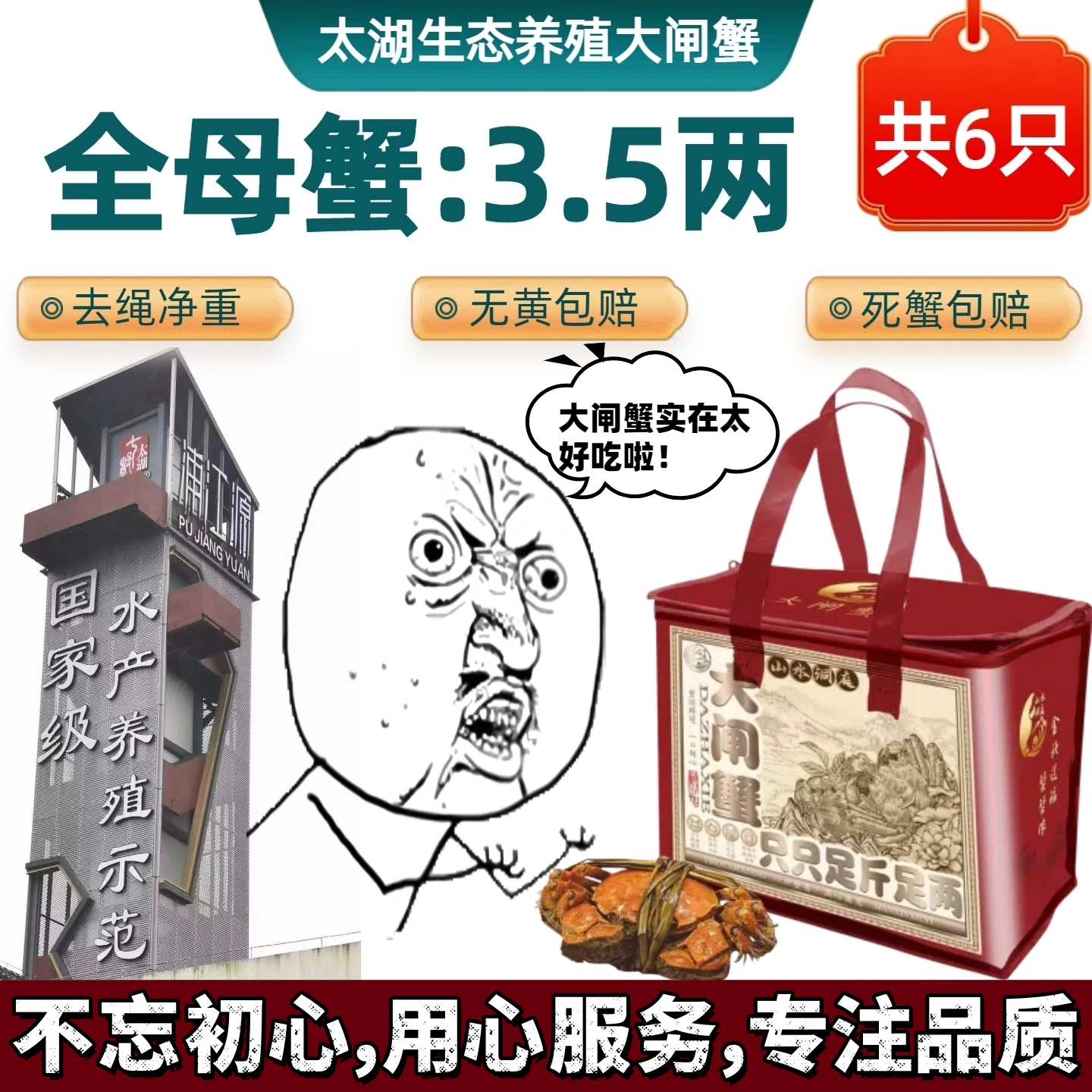 太湖大闸蟹太湖蟹全母3.5两