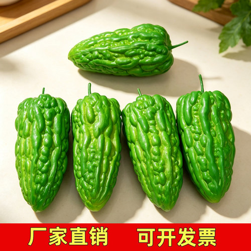仿真苦瓜模型蔬菜道具摆件