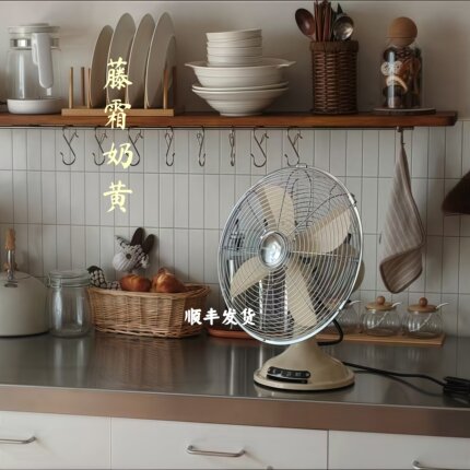 复古风扇老式落地台式家用桌面日式台扇金属电风扇小型风扇高颜值