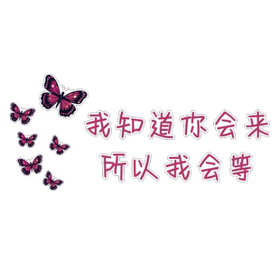 网红打卡拍照区蝴蝶布置墙面装饰花背造景知道你会来所以我在等贴
