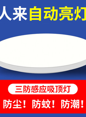 led灯楼梯灯感应吸顶灯过道楼道红外人体 自动感应雷达声控灯控制