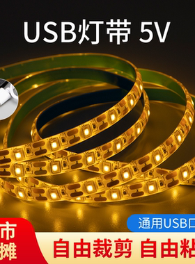 led灯带自粘5v夜市摆地摊宿舍防水usb充电宝低压服装柜台氛围灯条