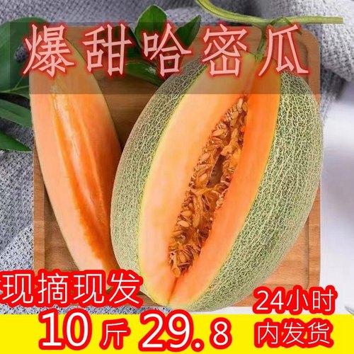 爆甜哈密瓜现摘现发当季新鲜水果整箱包邮9斤装5斤装新鲜海南水果