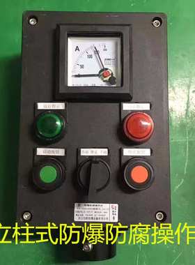防腐防爆箱操作柱控制盒BZC8050按钮仪表开关三防配电箱主令器A2D