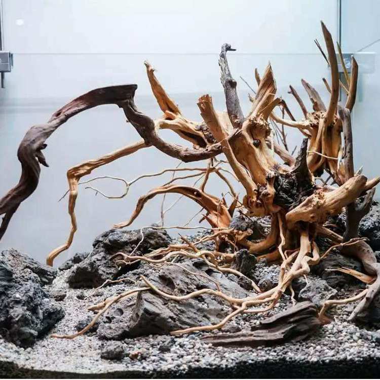 产地 水族箱造景装饰杜鹃根沉木木栖根水景草缸莫斯树沉木鱼缸