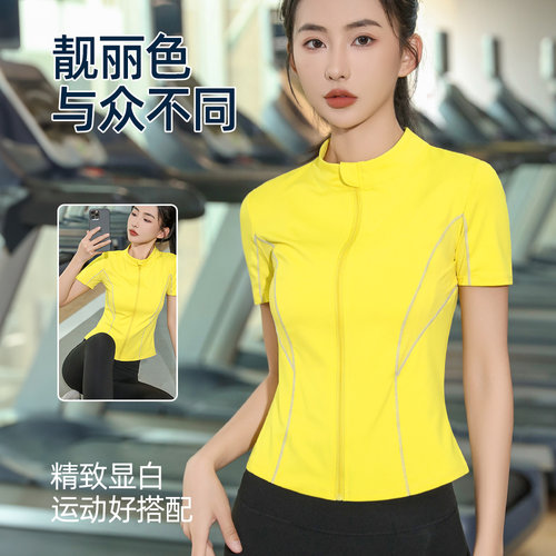 夏季运动短袖女运动弹力健身上衣