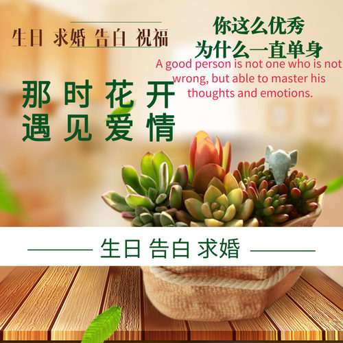 婚礼相册求婚表白生日相册年会开场视频电子相册制作蛇年婚礼开场 - 封面