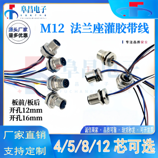 M12防水连接器4芯5芯8芯12孔公母法兰插座带线20cm板前后航空插头
