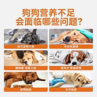 笑宠狗狗乳钙片狗羊奶粉批发犬用营养膏宠物益生菌小型大型犬通用