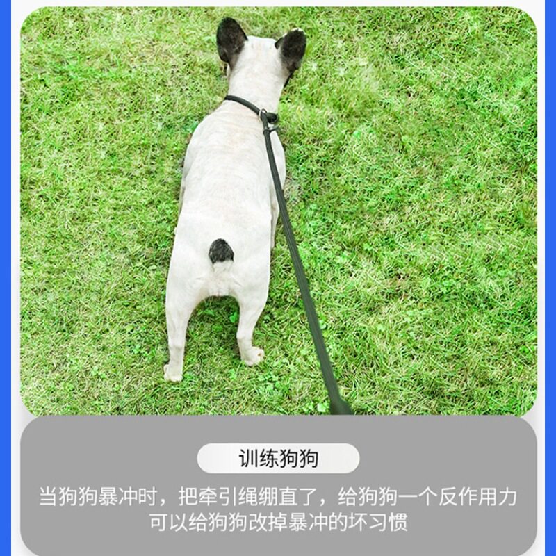 狗绳子牵引绳小型犬户外遛狗绳宠物狗p绳专业训犬P链防挣脱高密度