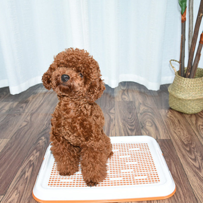 批发狗狗厕所宠物平板厕所网格式小型犬泰迪宠物厕所用品源头厂家
