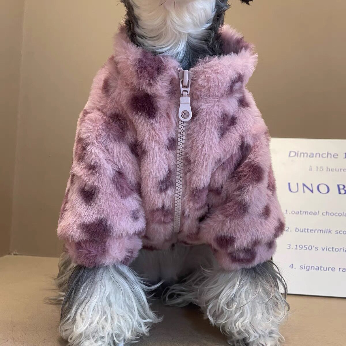 狗狗衣服秋冬雪纳瑞法斗比熊泰迪中小型犬猫咪豹纹外套宠物狗服装