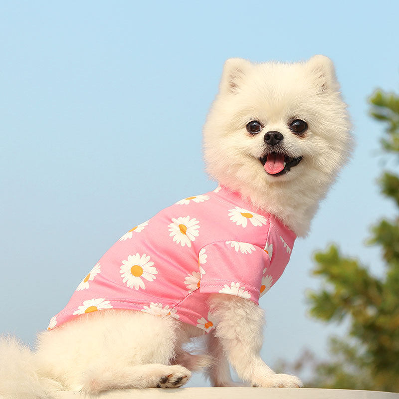 狗狗猫咪春夏秋出游宠物狗猫用品泰迪比熊小中型犬衣服潮装短袖