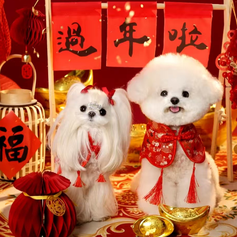 新年狗狗国潮衣服猫咪过年结婚新娘喜庆围脖宠物泰迪比熊斗篷披风