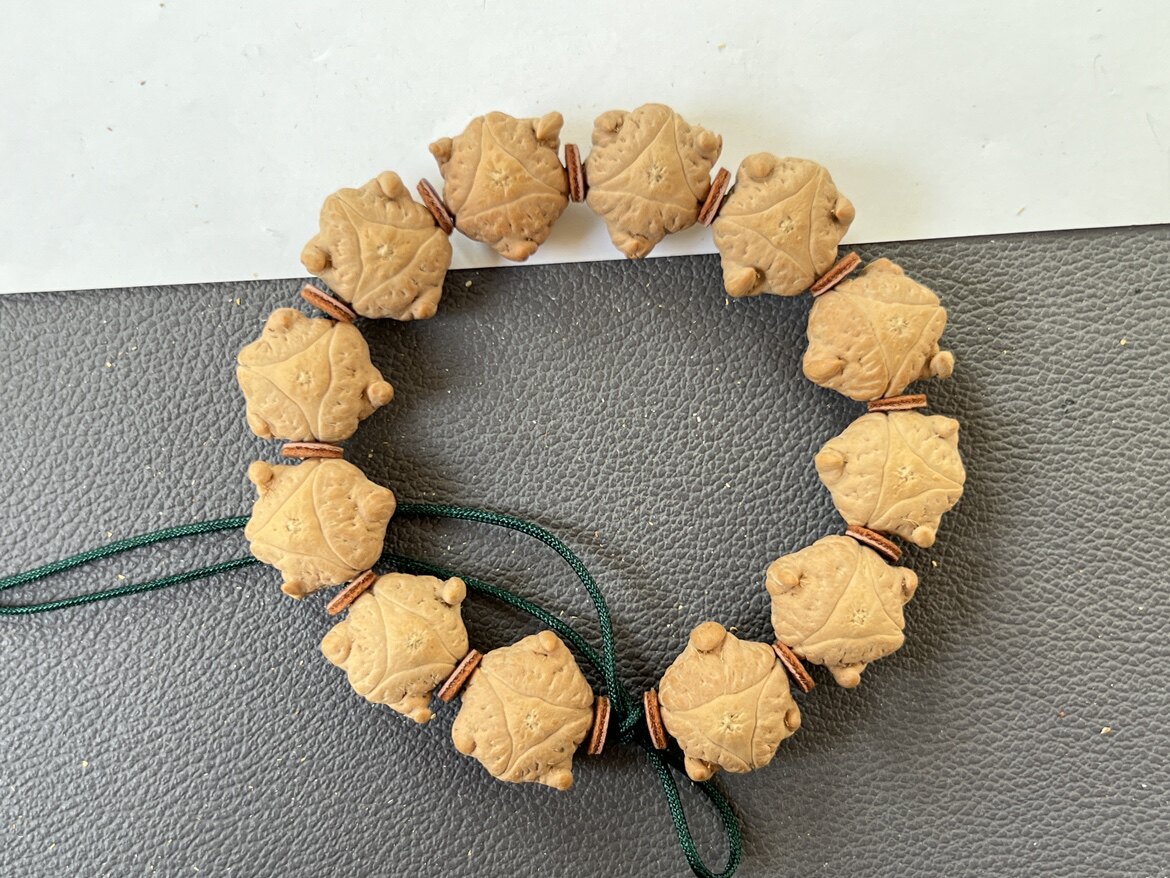 角王树王天然带角货头恶魔龙眼菩提手串佛珠高密高油秒沉籽