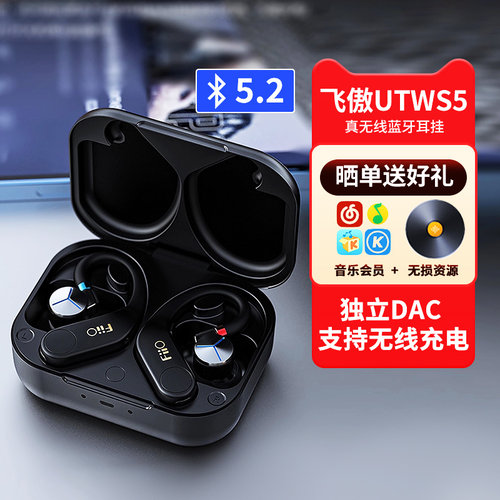 真无线蓝牙耳机线FiiO/飞傲