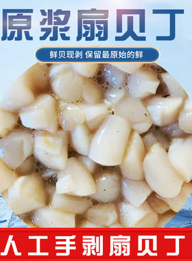 新鲜速冻原浆扇贝丁不泡水特大瑶贝柱带子海鲜水产非干货产地直发