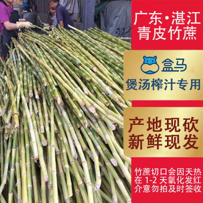 广东青皮竹商用甘蔗榨汁专用