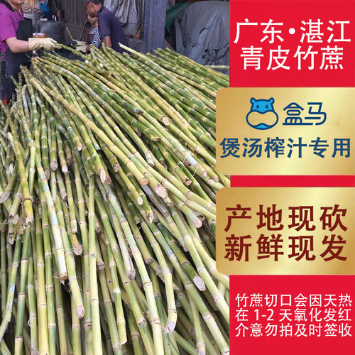 广东青皮竹商用甘蔗榨汁专用