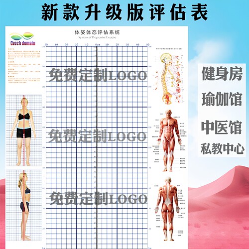 体态评估表墙贴健身房体测网格纸