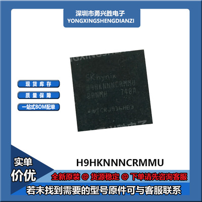 H9HKNNNCRMMU-ERNMH内存