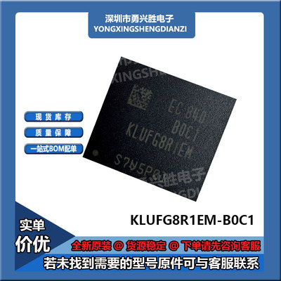 KLUFG8RHDA-B2D1KLUFG8R1EM-B0C1