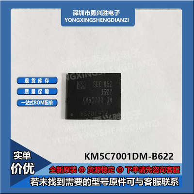 KM5C7001DM-B622储存器芯片