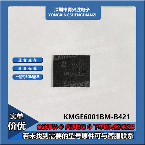 KMGD6001BM-D421电子芯片