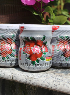 仙乡仙居杨梅酒果酒低度梅子酒