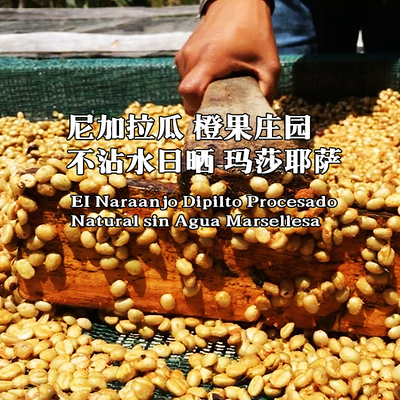 冷萃咖啡尼加拉瓜玛莎耶萨日晒
