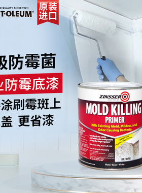 美国原装进口ZINSSER专业防霉底漆墙面翻新环保乳胶漆