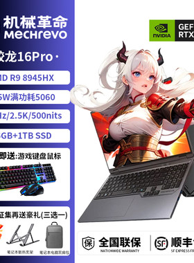 机械革命26蛟龙16pro16/18寸电脑